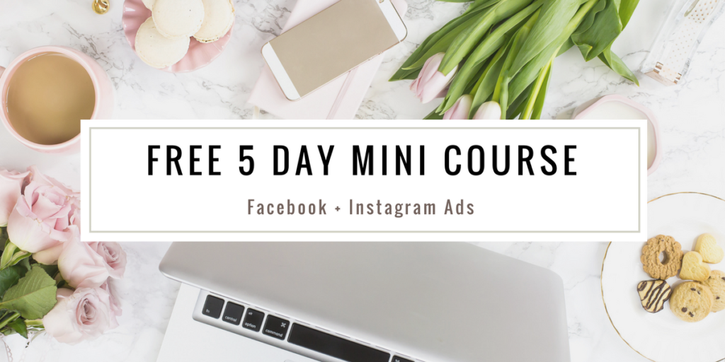 Free 5 Day Mini Course - Facebook + Instagram ads