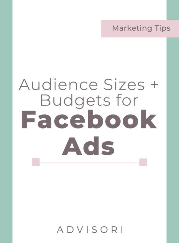 Audience Sizes and Budgets for Facebook Ads